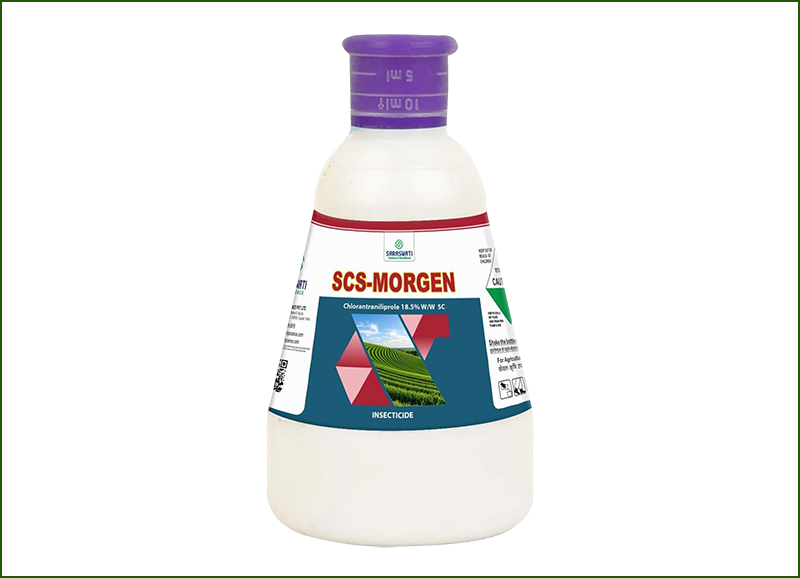 Manufacturer of SCS - MORGEN in Ahmedabad