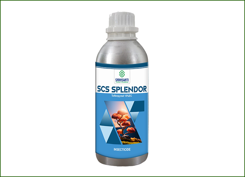 Manufacturer of SCS-SPLENDOR in Ahmedabad