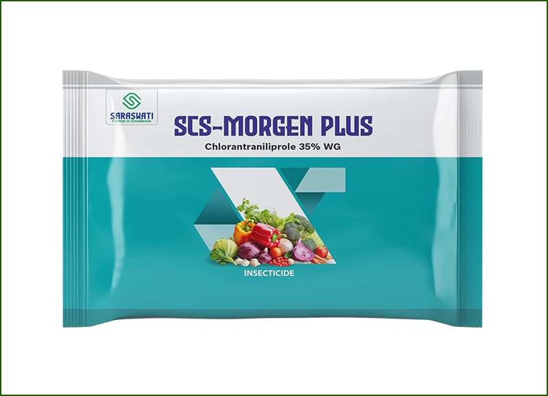 Manufacturer of SCS-MORGEN PLUS in Ahmedabad
