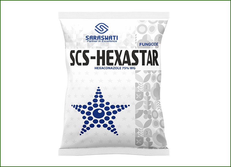 Manufacturer of SCS- HEXASTAR  in Ahmedabad