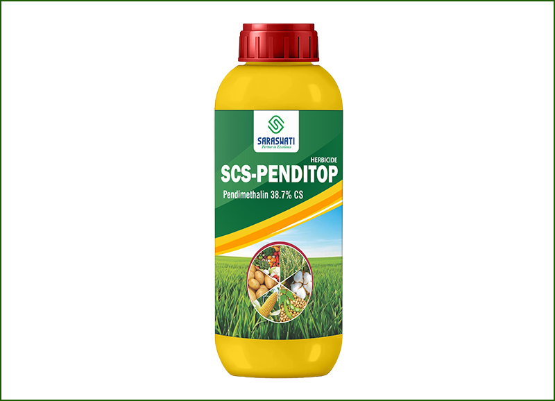 Manufacturer of SCS -PENDITOP in Ahmedabad