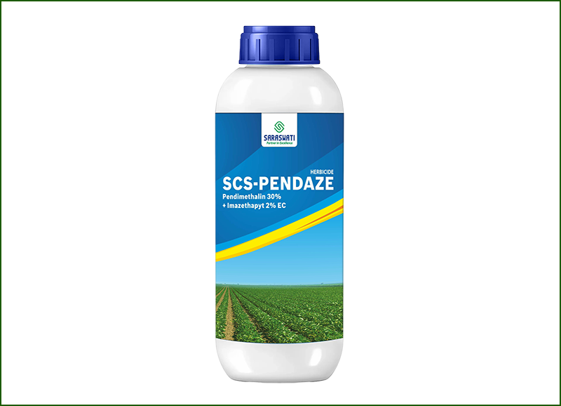 Manufacturer of SCS-PANDAZE in Ahmedabad