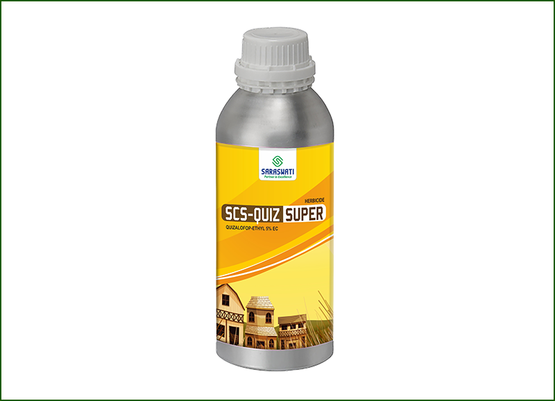 Manufacturer of SCS -QUIZ SUPER in Ahmedabad