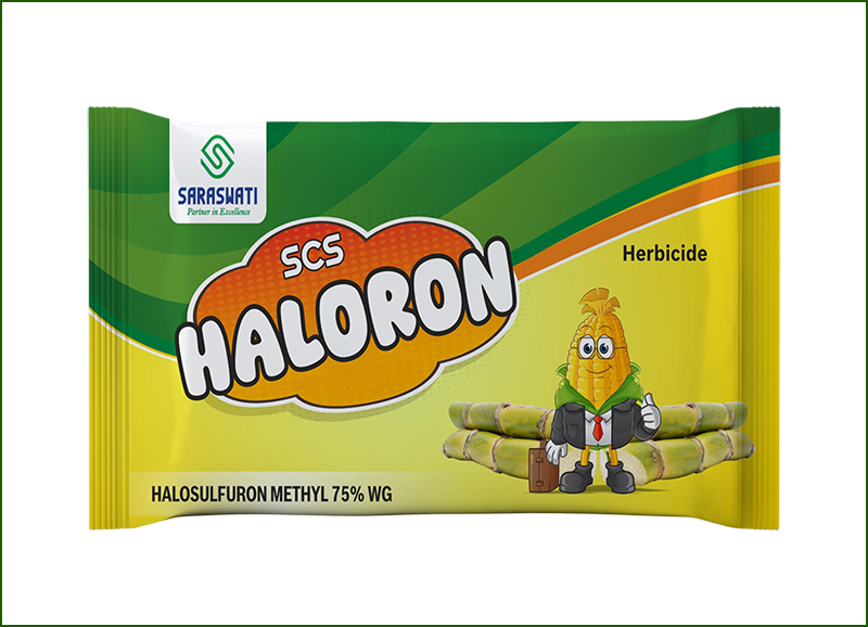 Manufacturer of SCS- HALORON in Ahmedabad