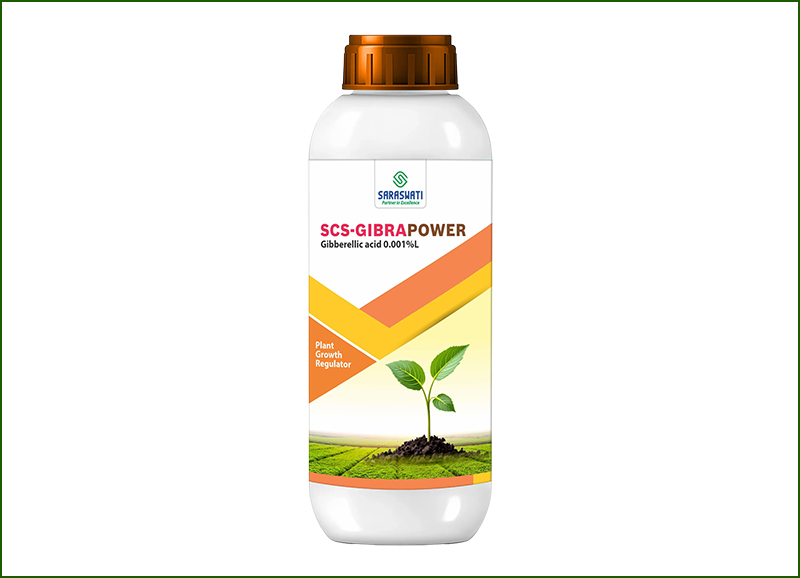 Manufacturer of SCS GIBRAPOWER in Ahmedabad