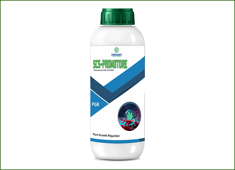 Manufacturer of SCS PROMOTORE in Ahmedabad